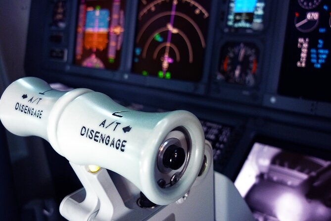 Flight Simulator Experience LONG RANGE 90 Minutes - In-Depth Flight Training