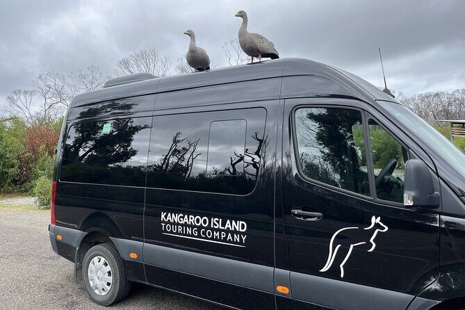 Flinders Chase Private Luxury Tour - Who Should Consider This Tour?