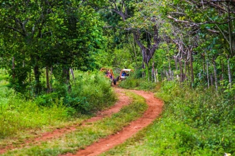 Flintstones Buggy, Cave and Adventure in Bavaro - Final Words