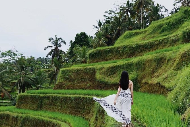 Floating Breakfast at Private Jungle Pool , Swing , Sunrise and Balinesse Spa - Pricing and Booking Information