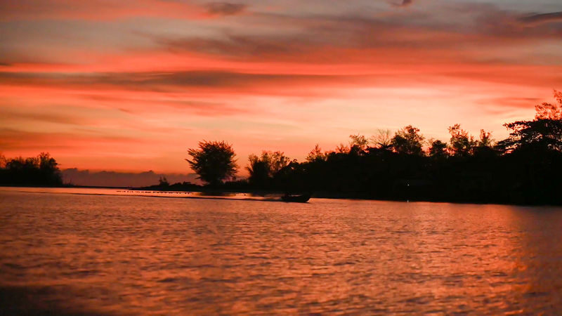 Floating Mosque & Mangrove River Half-Day Guided Tour - What to know before you book