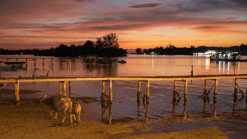 Floating Mosque & Mangrove River Half-Day Guided Tour - A coconut pudding stop may slow the start