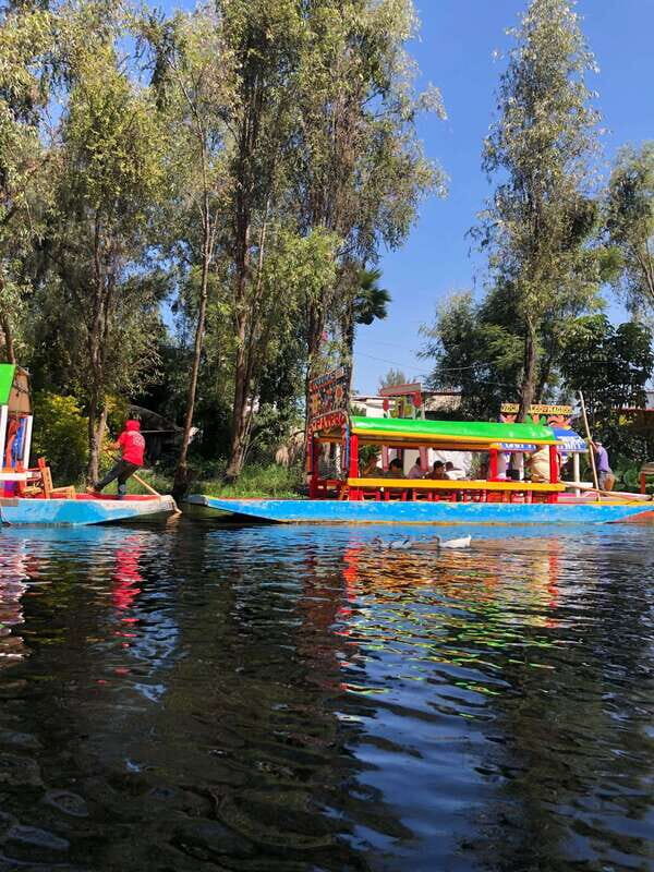 "Floating Party in Xochimilco: Canals, Tequila, and Tradition" - Good To Know