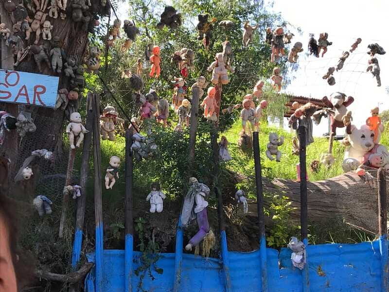 "Floating Party in Xochimilco: Canals, Tequila, and Tradition" - Who Would Love This Tour?