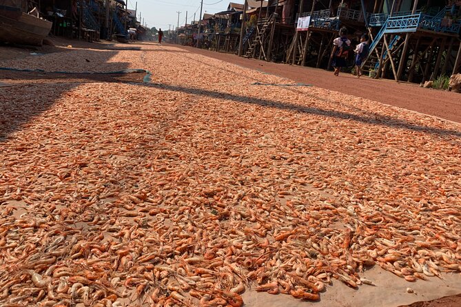 Floating Village (Kampong Phluk), Tonle Sap Half Day Tour - Inclusions and Exclusions