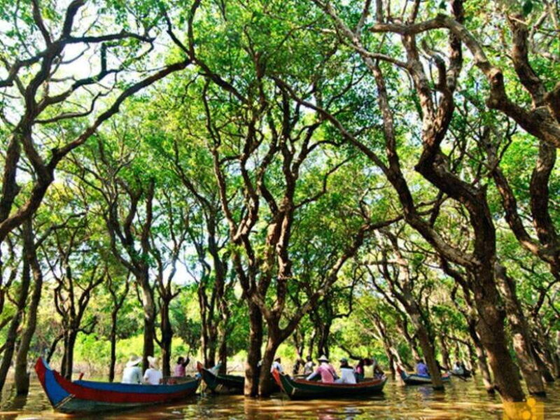 Floating Village-Mangroves Forest Tonle Sap Lake Boat Tour - FAQ