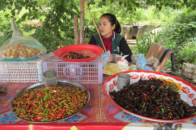 Floating Village ( Meychrey), Tole Sap-Half Day Tour - Activity Highlights