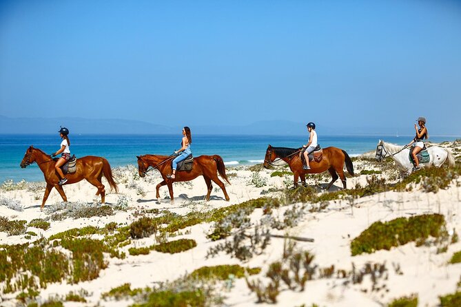 Floodgate / Horseback Riding on the Beach - Good To Know