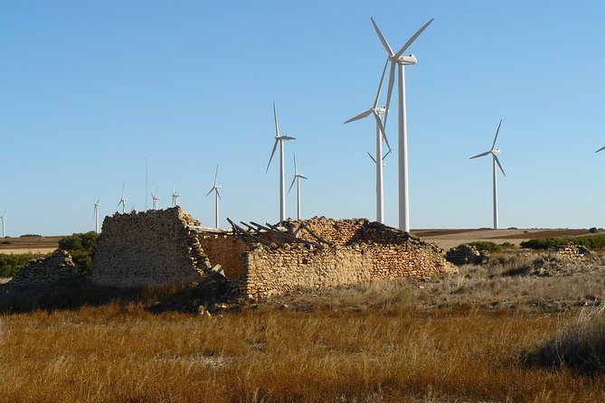 Flora and Fauna Workshop of the Zaragoza Steppe - Common Questions