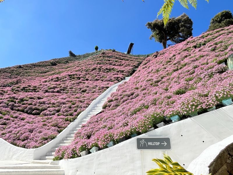 Flora Park Ticket in Cameron Highlands - Start at Flora Park Parking