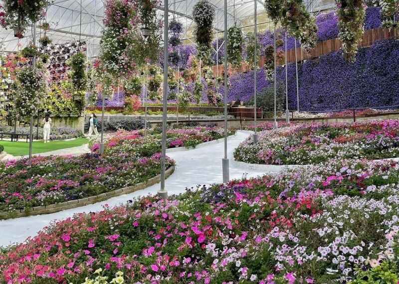 Flora Park Ticket in Cameron Highlands - Make time for the bridges and viewpoints