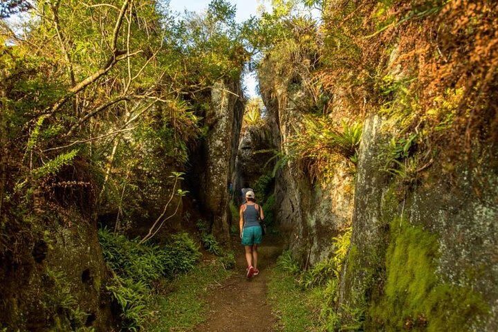 Floreana Island Full Day Tour in Galapagos - Asilo de la Paz and its pirate cave