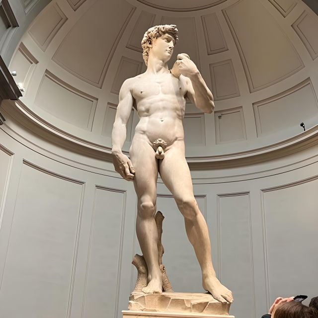 Florence: Accademia Reserved Ticket & Michelangelos David - Experience Highlights