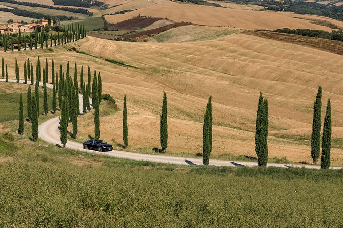 Florence Airport Private Transfer to the City - Additional Information and Cancellation Policy