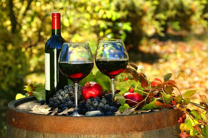 Florence and Chianti Wine Tasting Tour by Minivan From Pisa - Itinerary Details