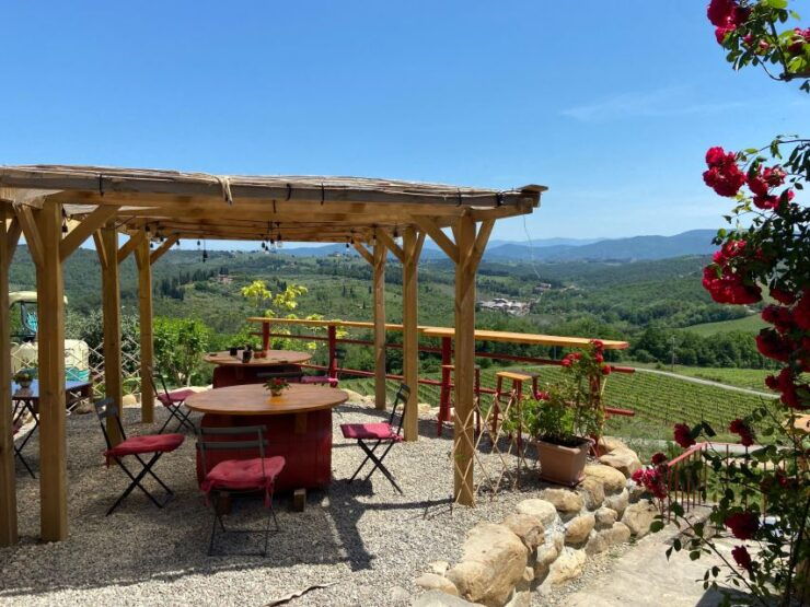 Florence and Chianti Wine Vintage Sidecar Tour - Experience Highlights