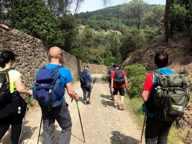 Florence: Arcetri Urban Hike - Language Options