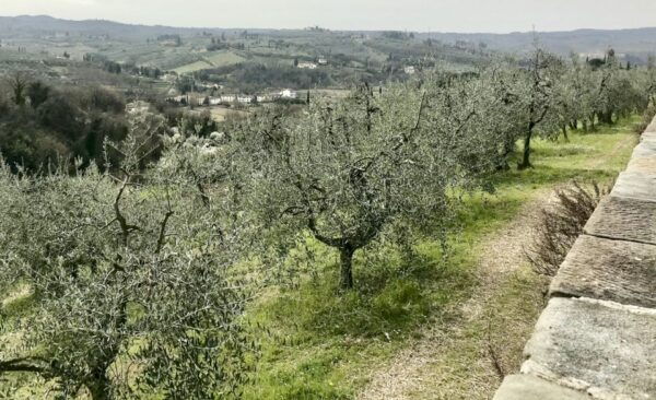 Florence: Charterhouse Guided Tour and Hills Walking Tour - The Sum Up