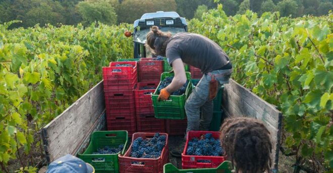 Florence: Chianti Classico Wine Region PRIVATE Tasting Trip - Tour Highlights