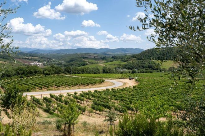 Florence: Chianti E-Bike Tour With Wine Tasting and Lunch - Important Participant Information