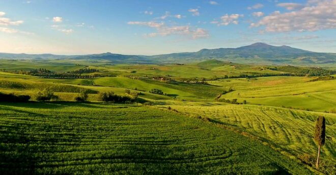 Florence: Chianti, Montalcino & Montepulciano Private Tour - Tour Highlights