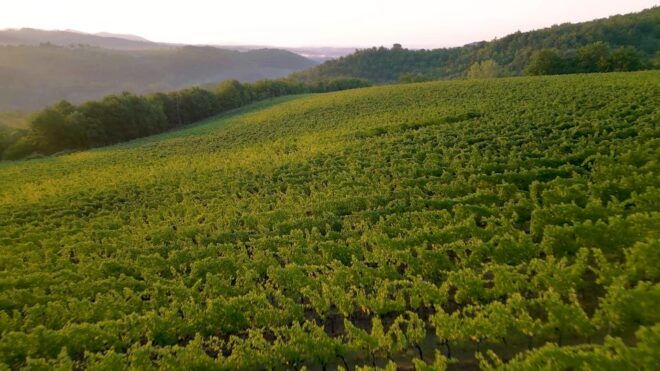 Florence: Chianti, Montalcino & Montepulciano Private Tour - Important Information