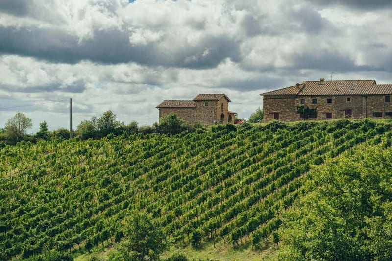 Florence: Chianti Secrets Wineries Tour With Lunch - An In-Depth Look at the Chianti Secrets Wineries Tour