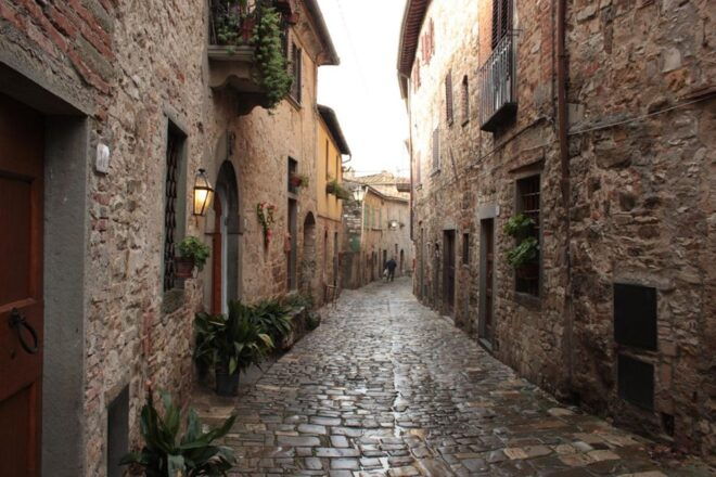 Florence: Chianti Villages, San Gimignano and Winery Tour - Important Information