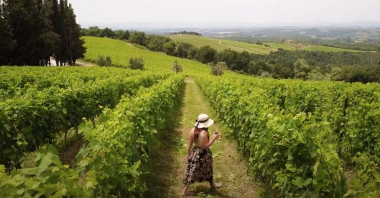 Florence: Chianti Vineyards Tour With Wine Tasting & Dinner - Tour Overview