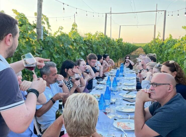 Florence: Chianti Vineyards Tour With Wine Tasting & Dinner - Booking Information