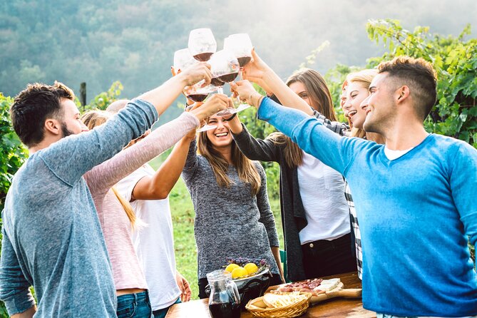 Florence: Chianti Wine Experience - Overview of Chianti Wine Experience