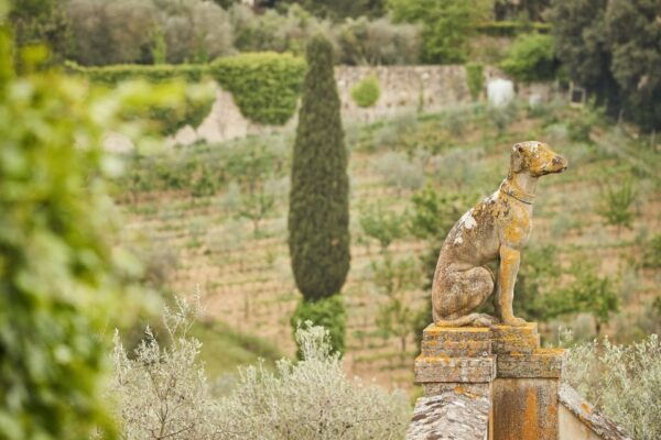 Florence, Chianti Wine Tasting & Tour, Medici Villa - The Sum Up