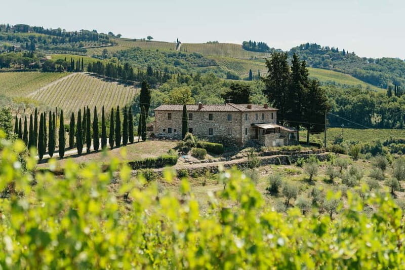 Florence: Chianti Wineries Tour with Wine Tasting - Who Is This Tour Best For?