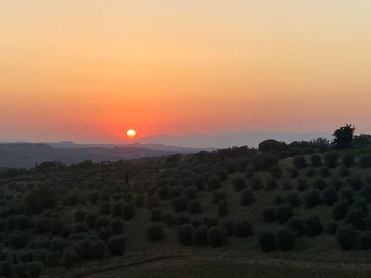 Florence: Cinquecento Private Sunset Panoramic Tour - Good To Know