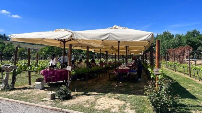 Florence: Cooking Class in San Gimignano with Wine Tasting - FAQ