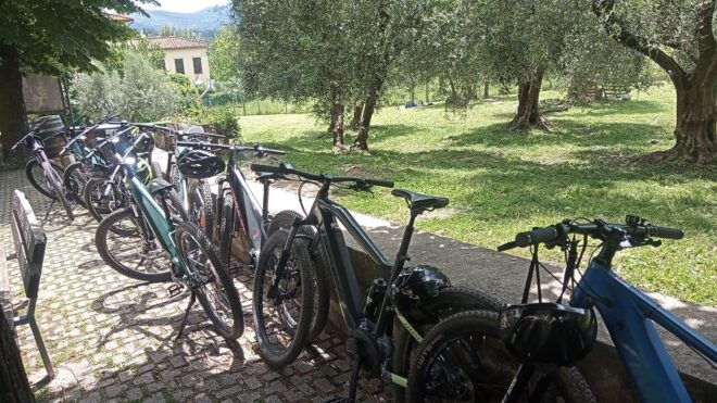 Florence: Country Ebike Tour + Wine Tasting in Organic Farm - Additional Information