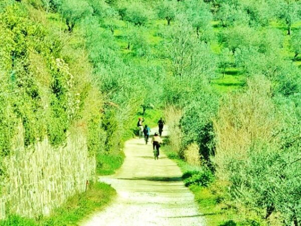 Florence: Country Ebike Tour + Wine Tasting in Organic Farm - Departure and Return Details