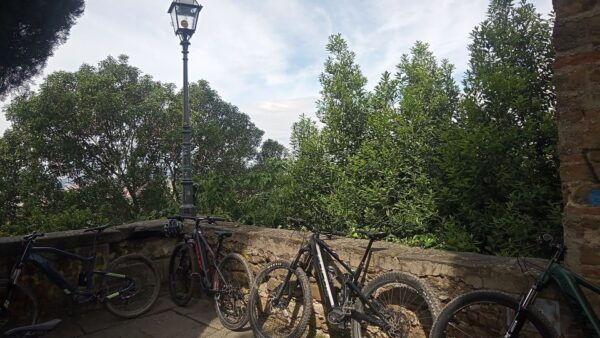 Florence: Country Ebike Tour + Wine Tasting in Organic Farm - Frequently Asked Questions