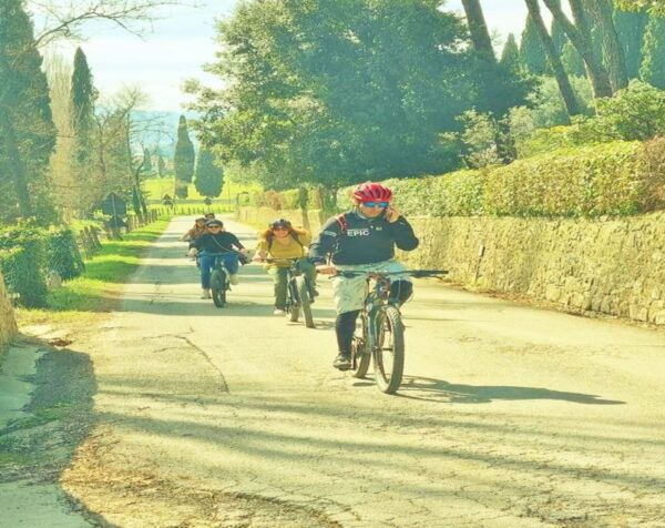 Florence: Country Ebike Tour + Wine Tasting in Organic Farm - The Sum Up