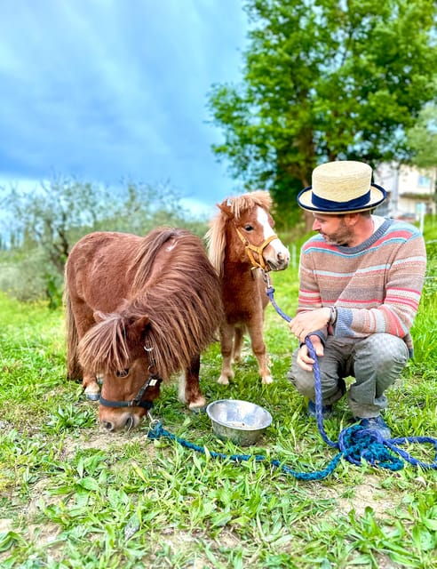 Florence: Countryside Tour With Wine Tasting & Pasta Class - Group Size and Participant Information