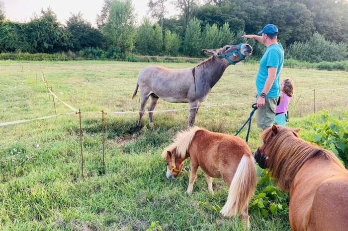 Florence: Countryside Tour With Wine Tasting & Pasta Class - Frequently Asked Questions