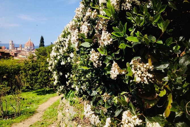 Florence Cupola Climb Guided Tour in English - Tour Overview