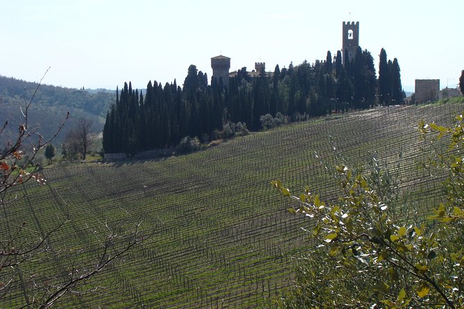 Florence Day Trip to Chianti and San Gimignano - Good To Know