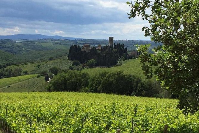 Florence Day Trip to Chianti and San Gimignano - Itinerary Customization