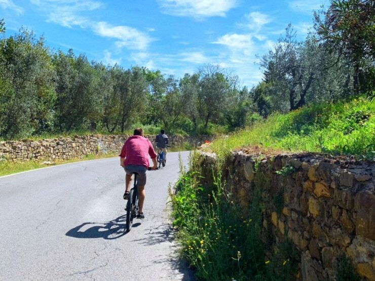 Florence: E-Bike Tour of Tuscan Countryside & Farm Visit - Booking Details