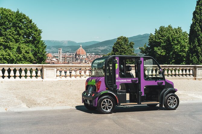 Florence Electric Car Tour - Reviews