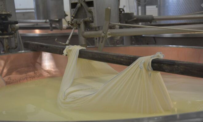 Florence: Emilia-Romagna Small Group Gastronomy Tour - Important Information