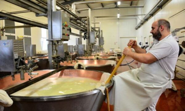 Florence: Emilia-Romagna Small Group Gastronomy Tour - The Sum Up