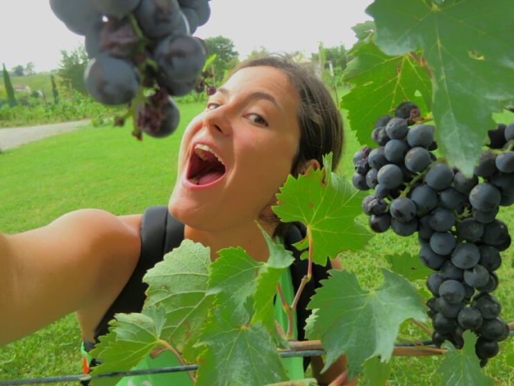 Florence: Full-Day Pisa and Tuscany Tour - Experience Highlights