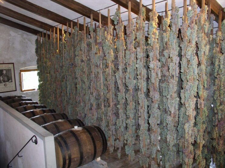 Florence: Full-Day Private Tour of Chianti and San Gimignano - Highlights